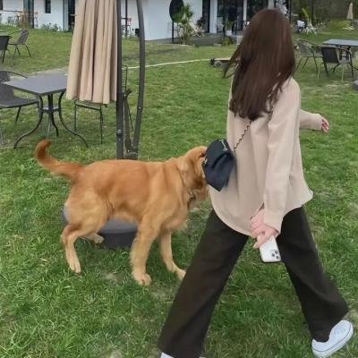 公仔炼金术 在线观看